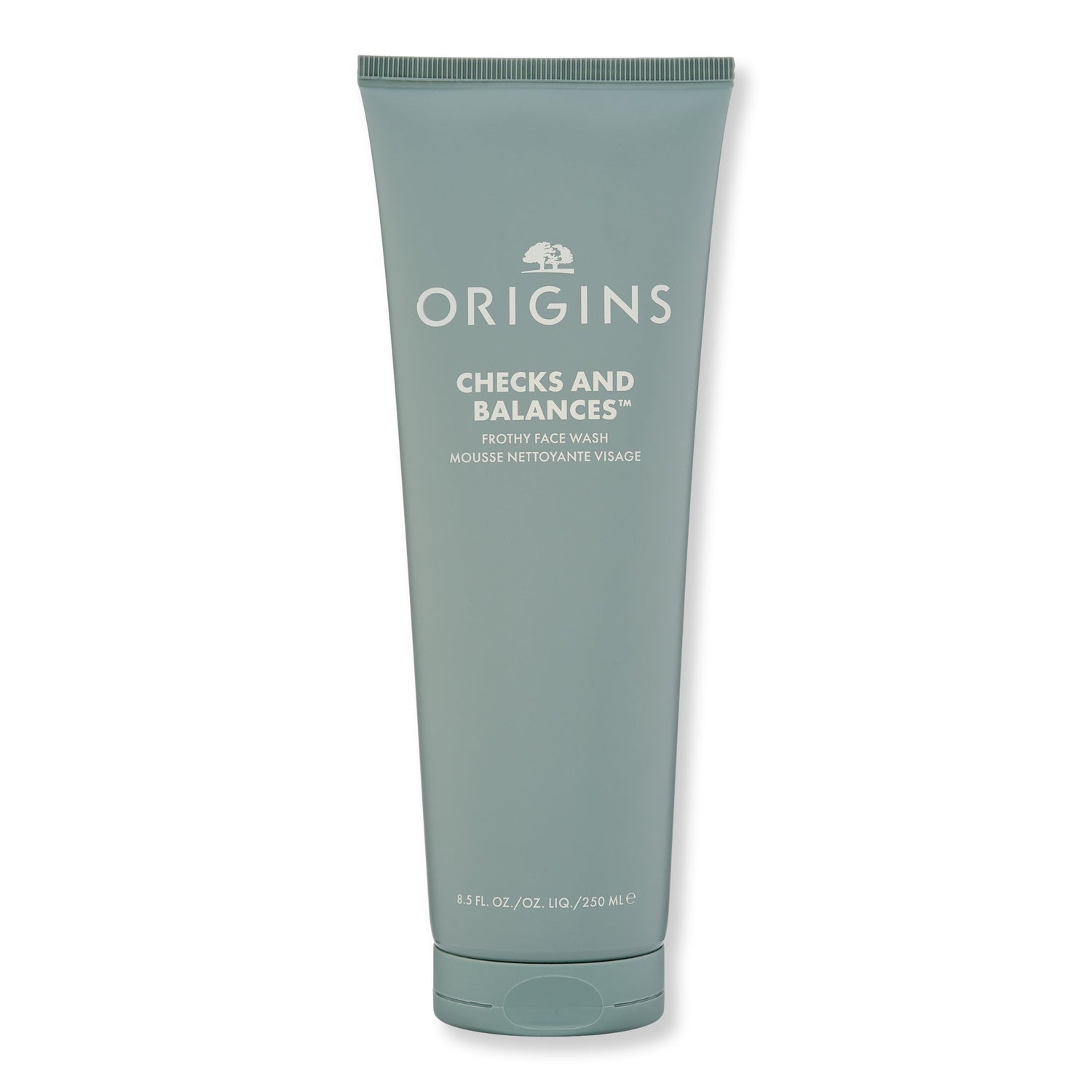 Origins Checks and Balances Frothy Face Wash