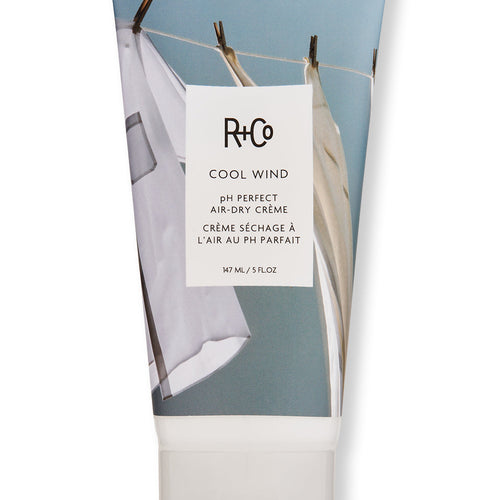 R+Co Cool Wind pH Perfect Air Dry Creme