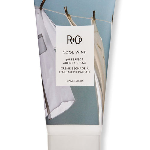 R+Co Cool Wind pH Perfect Air Dry Creme - SkincareEssentials